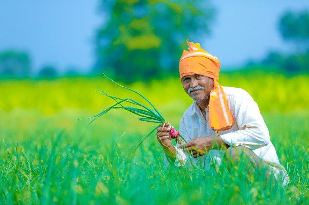 farmer in farm