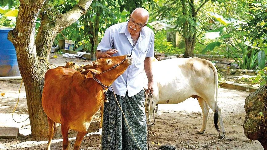 Dairy Farming Loan